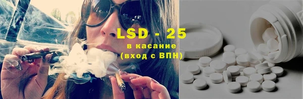 стаф Алзамай