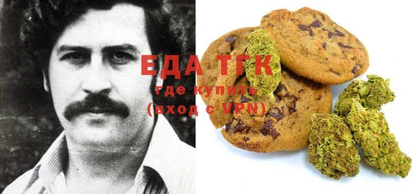стаф Алзамай