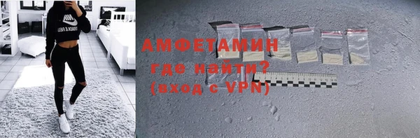 стаф Алзамай