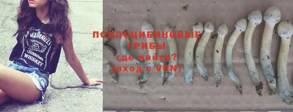дживик Алексин